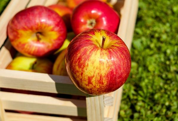 食蘋果洗走表面細菌防疫！ 專家教5招洗蔬果免受感染