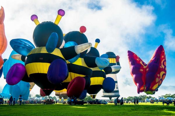 2020台東熱氣球嘉年華開幕 超巨型內褲熱氣球鹿野升空！