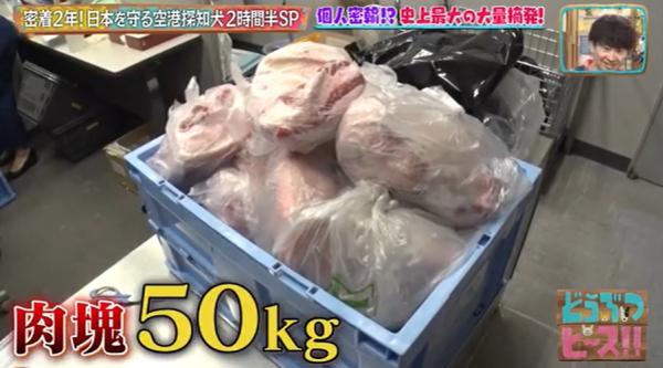 直擊日本機場檢疫犬搜違禁品 揭中國旅客偷運50kg生豬肉/原隻雞