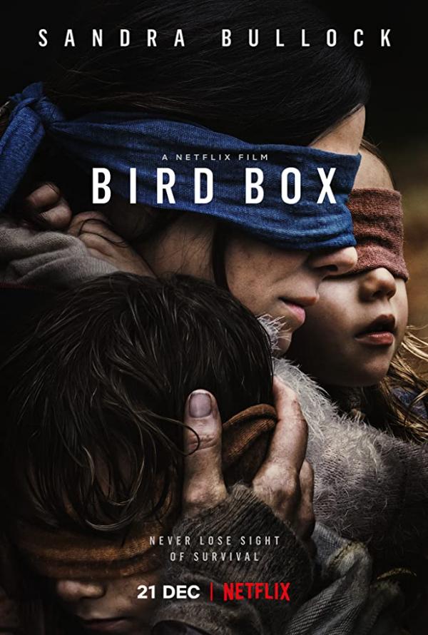 2020 Netflix最受歡迎電影第2位：《蒙上你的眼》（Bird Box）