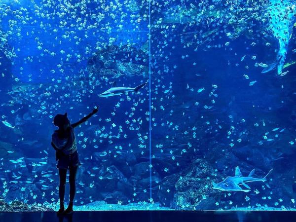 Xpark 桃園水族館 福爾摩沙