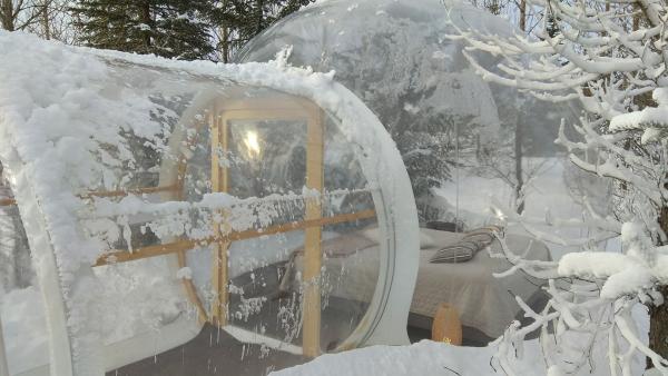 冰島透明泡泡露營屋住宿 屋內飽覽極光星空/日出日落 座落森林遠離繁囂