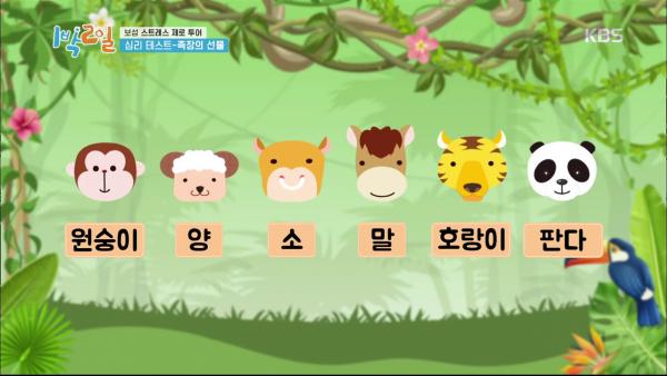 韓國節目大玩人氣心理測驗 動物6選1測主要壓力來源！