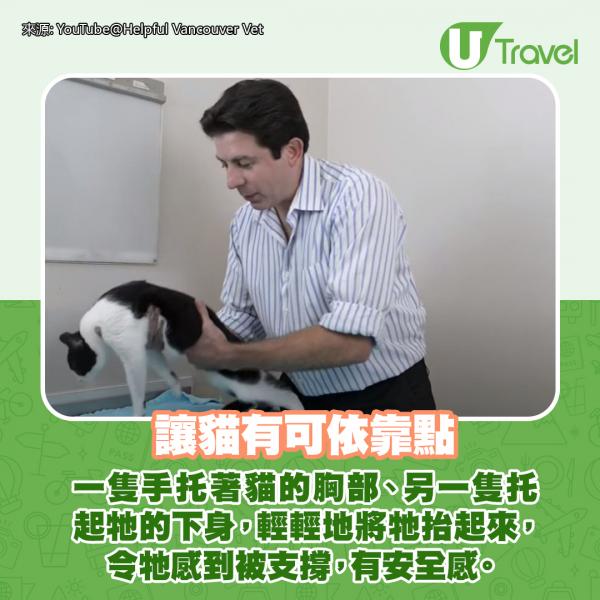 簡單正確抱貓方法 