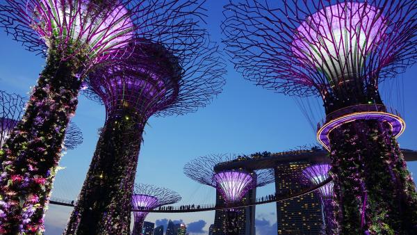 新加坡或成首個開關對象？ 交通部長：積極與香港商討旅遊氣泡