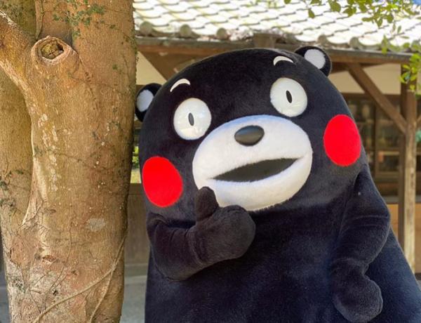 日本大臣催熊本熊結婚生仔 熊本縣堅拒：他只是個孩子啊！