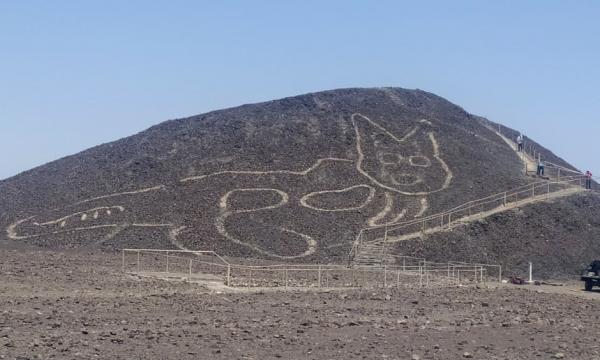 秘魯納斯卡線巨大新發現！ 2千多年前世上已有貓足跡