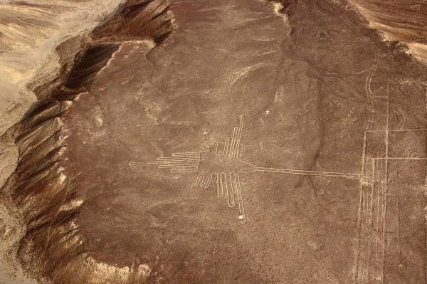 秘魯納斯卡線巨大新發現！ 2千多年前世上已有貓足跡