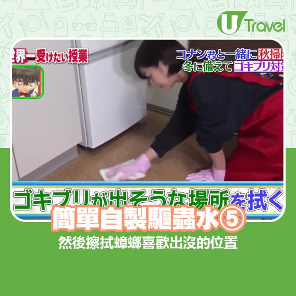 慎防蟑螂2大出沒位置！ 日本家務達人教簡單自製驅蟲水