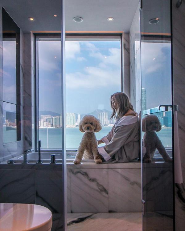 維港凱悅尚萃酒店（Hyatt Centric Victoria Harbour Hong Kong） 尊貴海景客房 （Deluxe Harbour View）