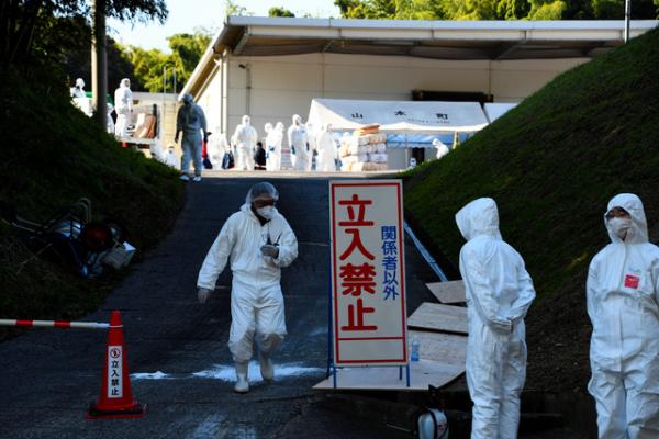 香川縣爆禽流感撲殺33萬隻雞 日本雞肉及雞蛋暫停出口