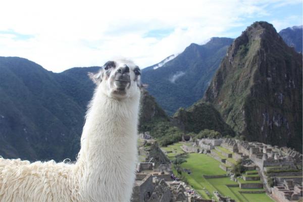 秘魯馬丘比丘關閉8個月後終於重開 做足防疫每日限675名遊客觀光