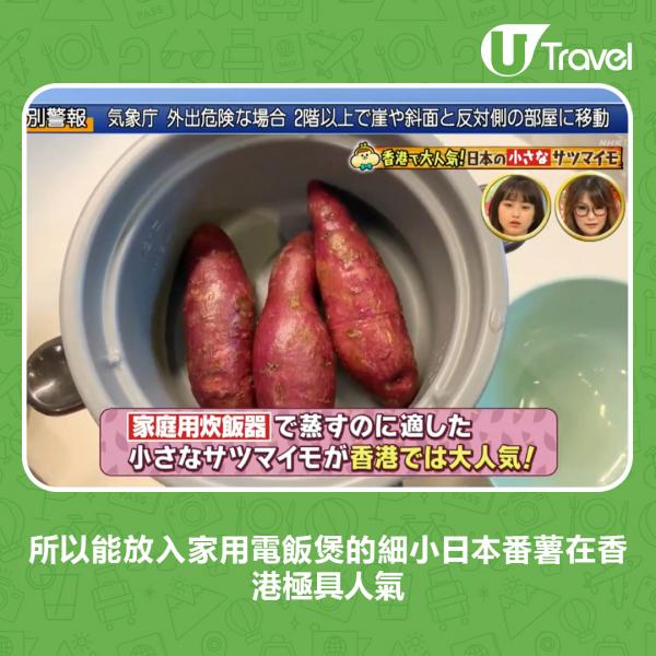 靠出口香港年賺1億9千萬日圓！ 日本節目分析日本番薯在港受歡迎原因