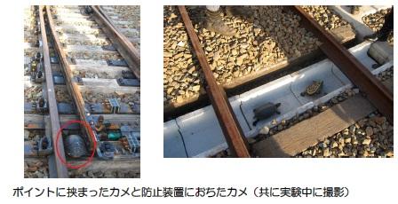 防止誤墮路軌被夾 日本鐵路暖心為烏龜建專用通道