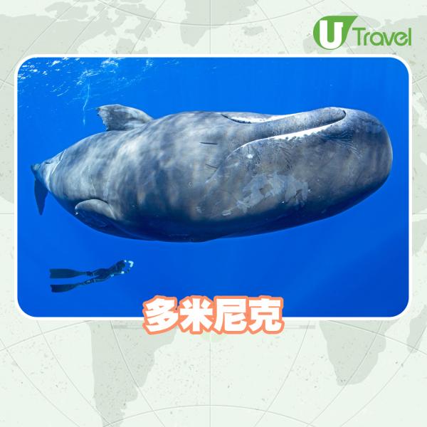 國家地理雜誌推介2021年25大旅遊地點 加拿大黃刀鎮極光、哥本哈根上榜！
