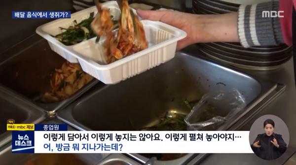 韓國外賣盒驚現活老鼠 店家否認 記者現場目擊老鼠亂竄！