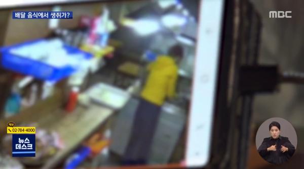 韓國外賣盒驚現活老鼠 店家否認 記者現場目擊老鼠亂竄！
