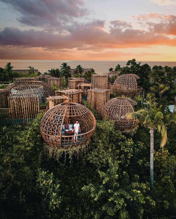 2020全球最佳十大酒店 第一位森林内嘆無邊際泳池