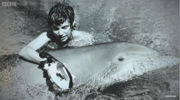 美國NASA地下實驗變成「人豚戀」 海豚最後為情自殺？