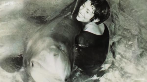 美國NASA地下實驗變成「人豚戀」 海豚最後為情自殺？