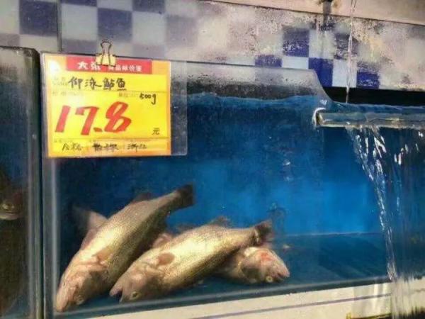 網上瘋傳超市魚缸創意標價牌 網民﹕「反肚魚也能誇成新品種？」