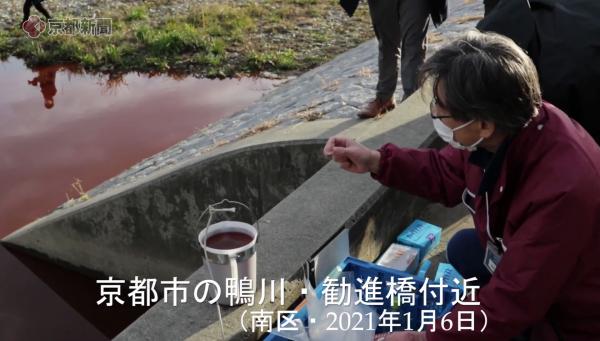 京都鴨川河水突然染成血紅色 由污水渠排出大量紅色不明液體