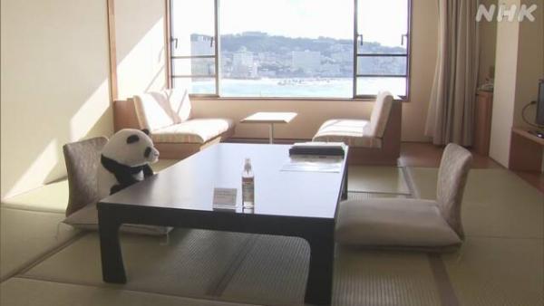 日本和歌山酒店疫情下住客大減 熊貓公仔「獨守空房」等客惹網民憐愛