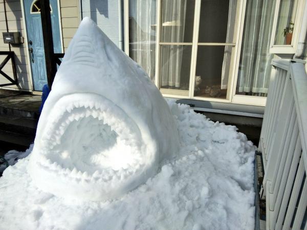大白鯊雪像