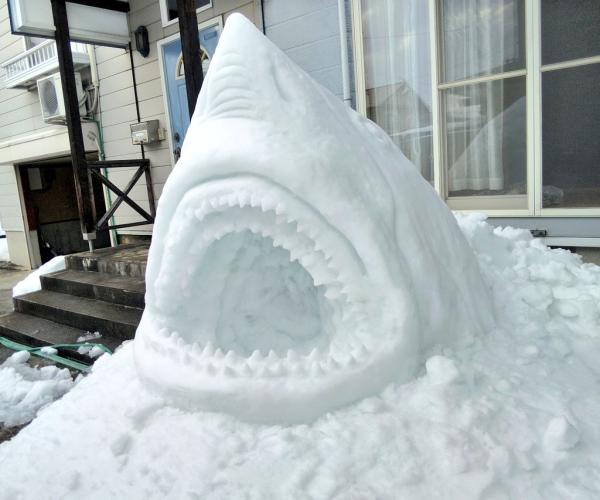 大白鯊雪像