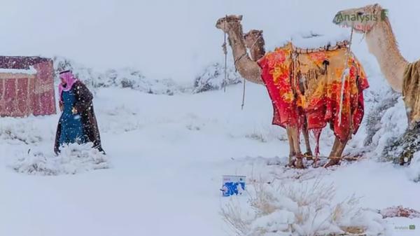 撒哈拉沙漠被積雪覆蓋 溫度降至零下2度