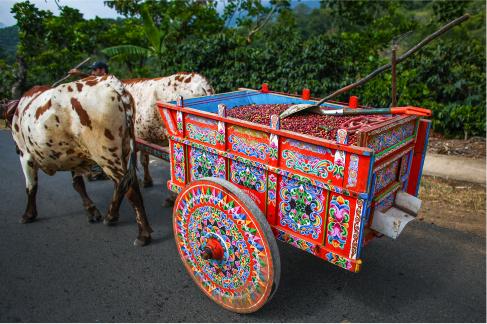 全球十大特色Starbucks 少女粉分店店/法國古典風