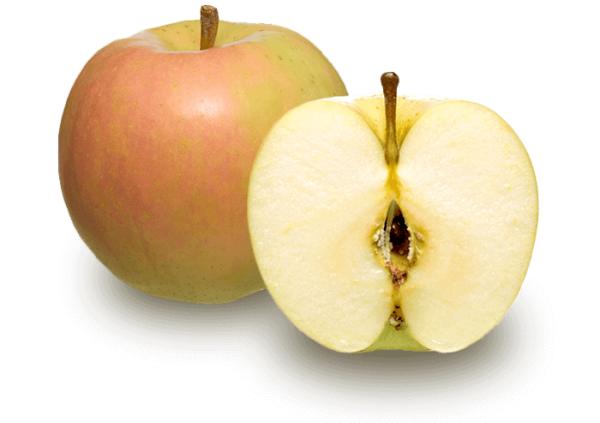 日本蘋果8大品種介紹｜富士蘋果、王林、世界一、天之驕女等 甜度酸度比較、揀靚蘋果秘訣