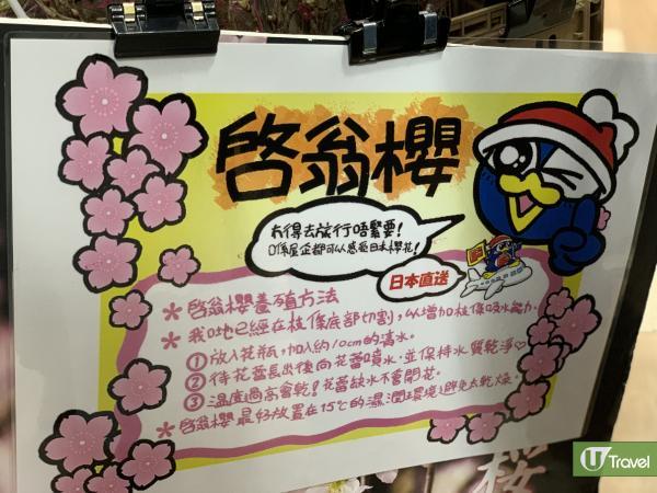 香港DONKI熱賣日本直送櫻花 無得去旅行都可以在家賞櫻！