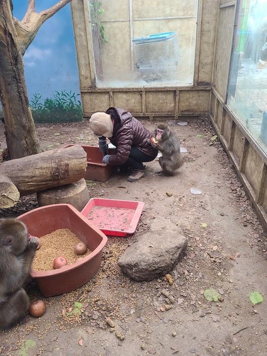 韓國動物園經營困難 殺害至少20隻動物 多月來斷水斷糧！