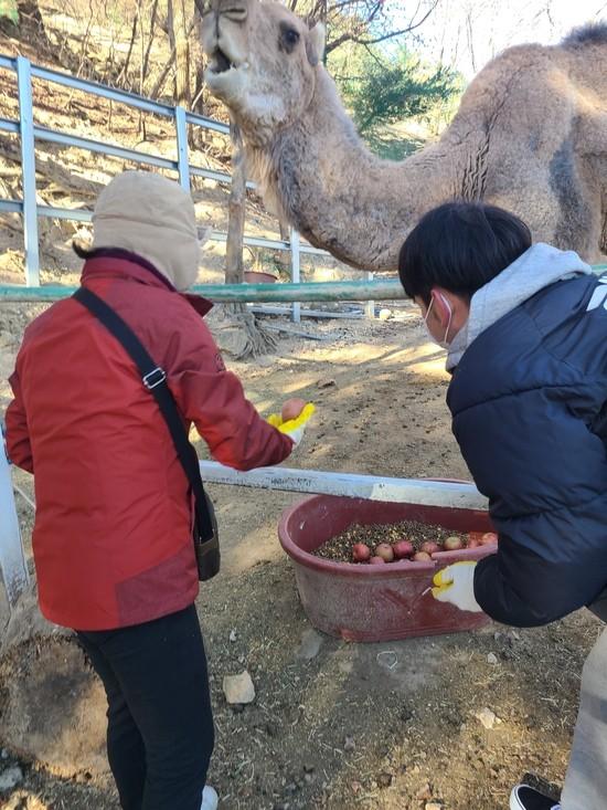 韓國動物園經營困難 殺害至少20隻動物 多月來斷水斷糧！