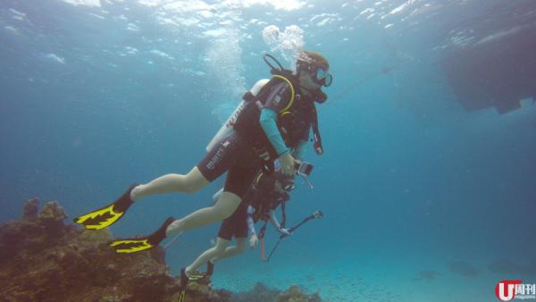  斯米蘭每年 11 月至 4 月的潛水季，吸引不少潛友專誠到來。水清能見度高，記者每潛能見度都最少有 15 米。