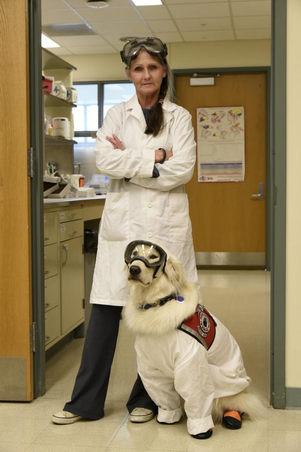 史上首隻金毛實驗室工作犬 助患病主人修讀博士學位