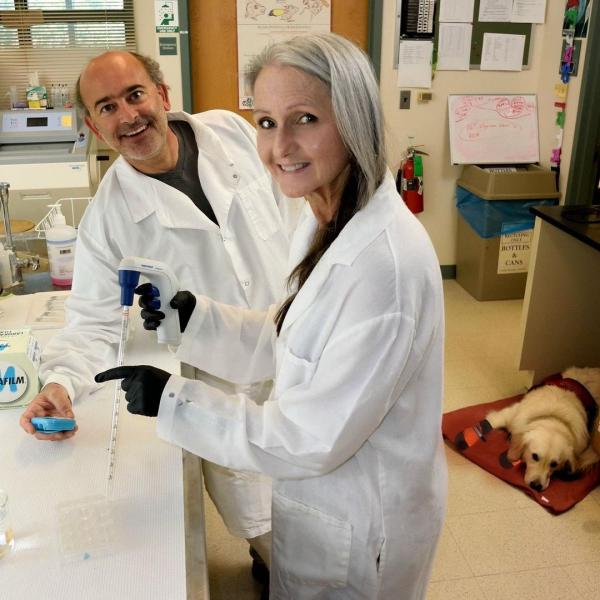 史上首隻金毛實驗室工作犬 助患病主人修讀博士學位