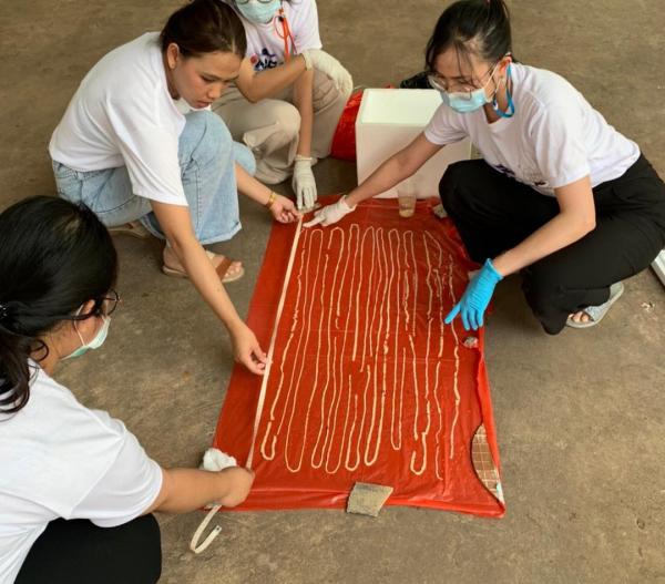 泰國男子愛吃生牛肉 體內發現18米長寄生蟲！