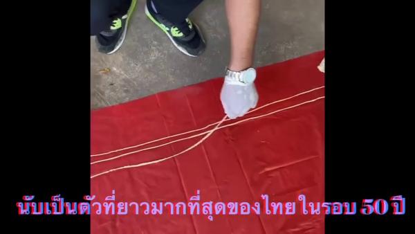 泰國男子愛吃生牛肉 體內發現18米長寄生蟲！