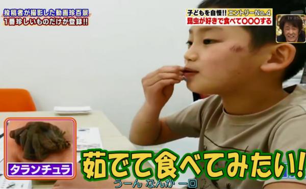 日本小二學生望開昆蟲餐廳 無懼有毒蜘蛛親自試食蟲寫食評