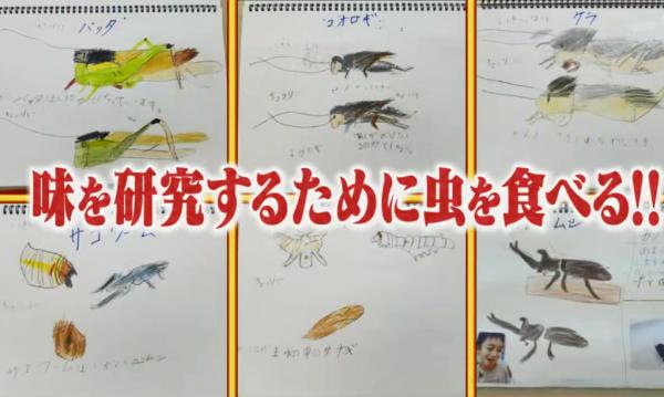 日本小二學生望開昆蟲餐廳 無懼有毒蜘蛛親自試食蟲寫食評