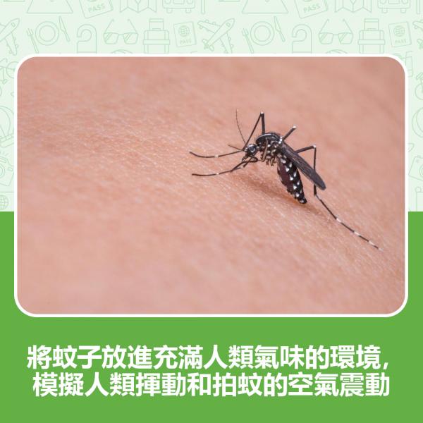 「善良的人」注定被蚊咬！ 研究教比蚊怕水有效的防蚊法