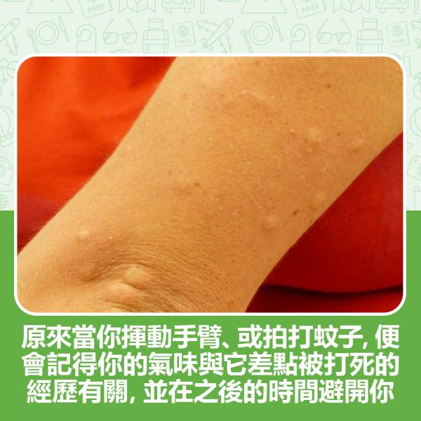 「善良的人」注定被蚊咬！ 研究教比蚊怕水有效的防蚊法