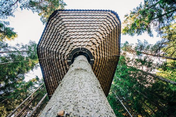 挪威的森林鳥巢酒店 WOODNEST 