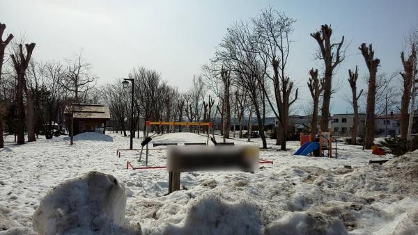 日14歲女生受欺凌逼拍裸照跳河 失蹤1個月融雪被揭伏屍公園