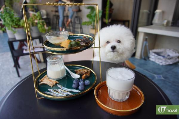 將軍澳新開寵物友善STAY WITH CAFE 寵物下午茶Tea Set/狗狗專享花膠雞/多個打卡位
