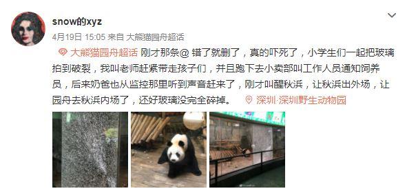 內地小學生遊動物園睇熊貓太興奮又叫又拍 老師未有阻止 鋼化玻璃遭拍爛