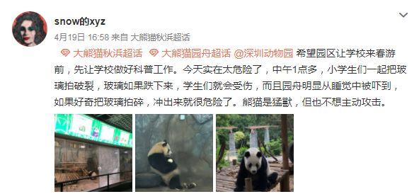 內地小學生遊動物園睇熊貓太興奮又叫又拍 老師未有阻止 鋼化玻璃遭拍爛