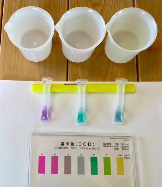 日本水質研究杯麵湯汁直接倒馬桶污染海洋 1個創意方法解決問題